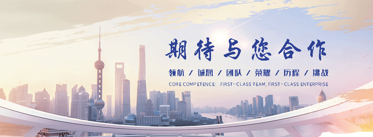 宜阳海狮租赁公司